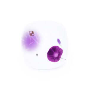 38572 : Yume no Yume incense Halter Japanese Morning Glory