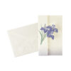 65-337 : Briefkarte Iris, 8,5x14cm – Bild 2