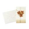 65-338 : Briefkarte Ahorn, 8,5x14cm – Bild 2