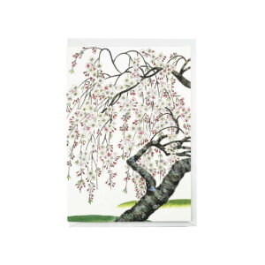 65-316: Briefkarte Sakura-Baum